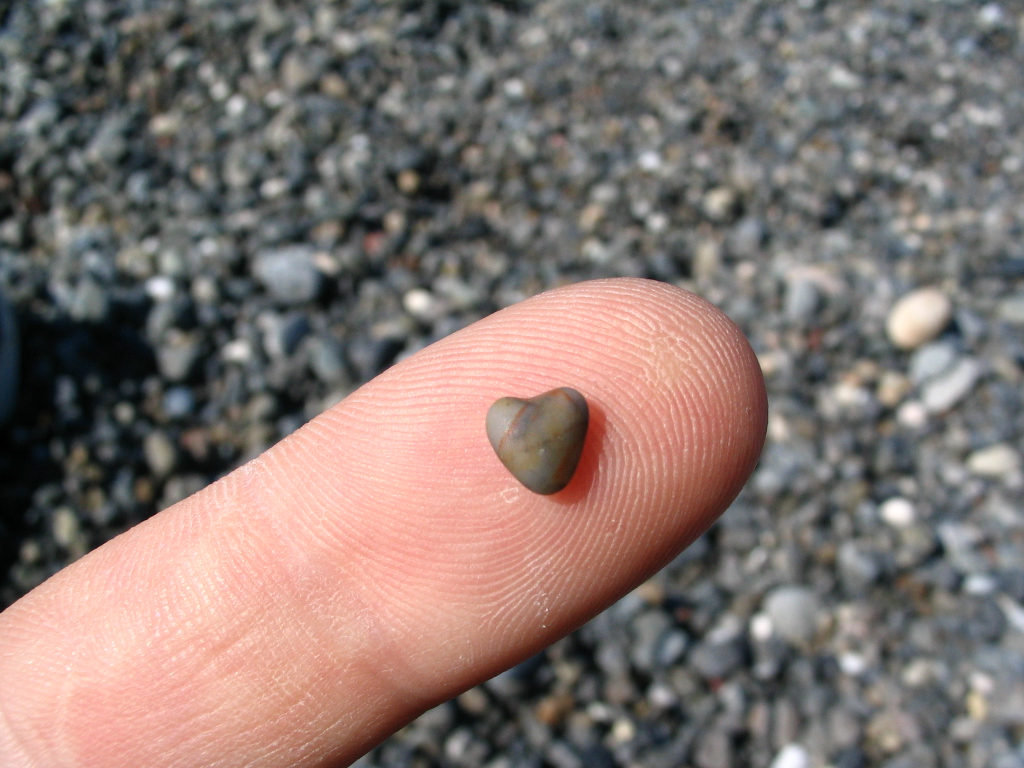 heart-shaped-rock.jpg